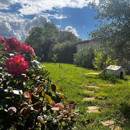 Gite De L'Olivier Nyons Exteriér fotografie