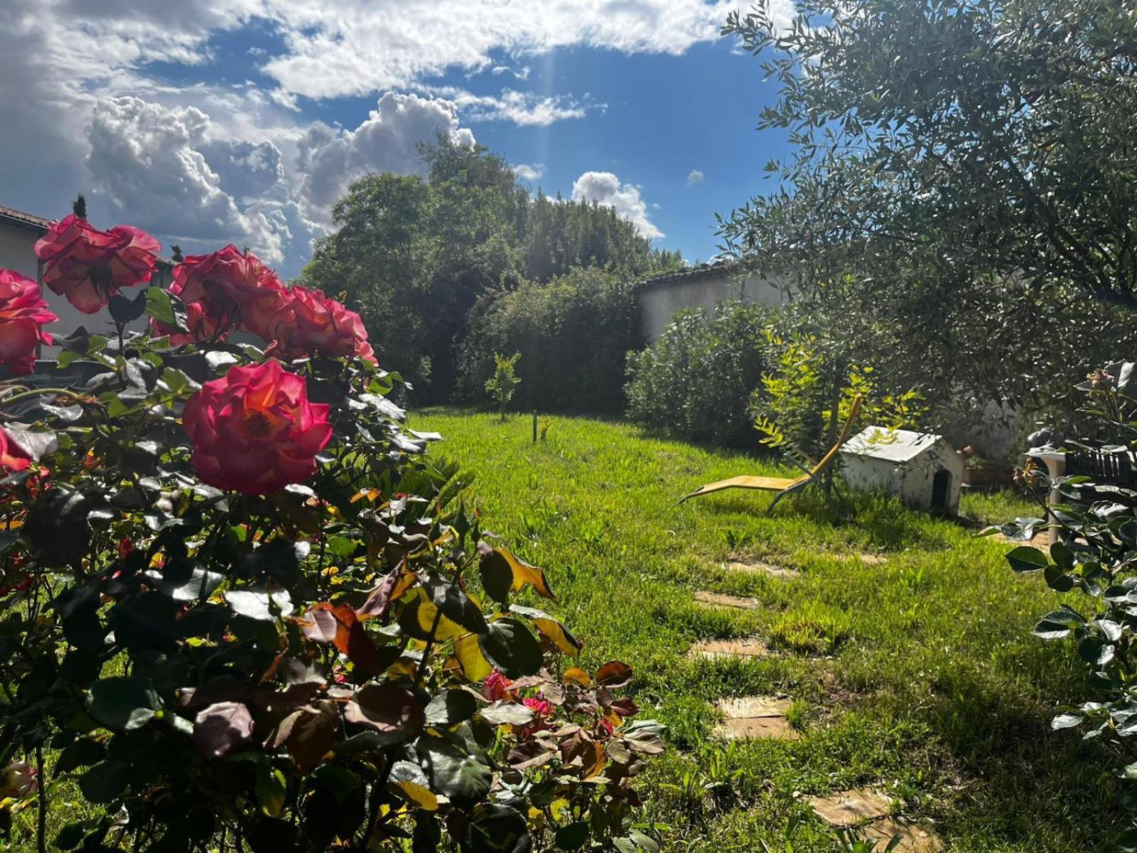 Gite De L'Olivier Nyons Exteriér fotografie